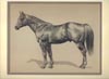 BARRED BOW (Quarter Horse) Mat Size 11x14 $75