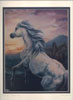 HORSES OF CAMARGUE Mat Size 11x14 $32