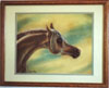 Egyptian Arabian - Pastel Drawing